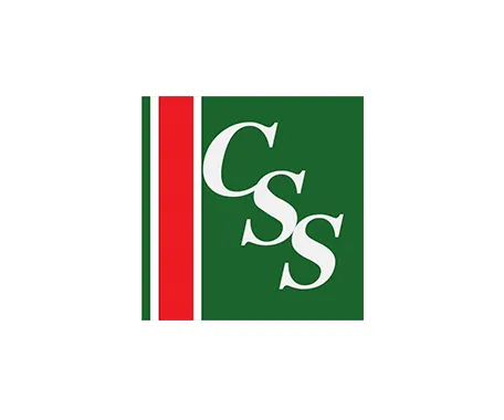CSS โลโก้